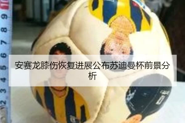 安赛龙膝伤恢复进展公布苏迪曼杯前景分析